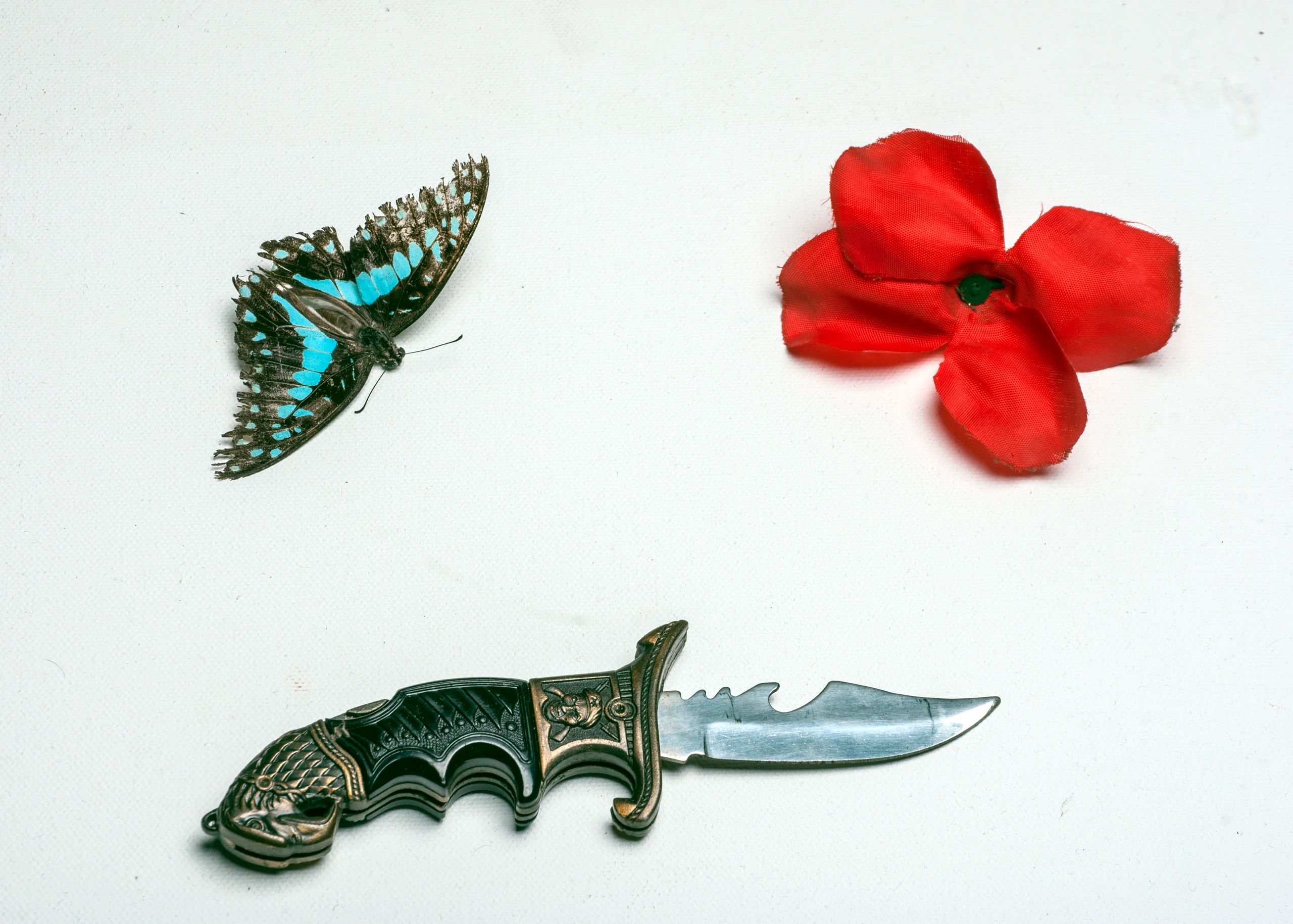 Outdoor knife and field gear still life